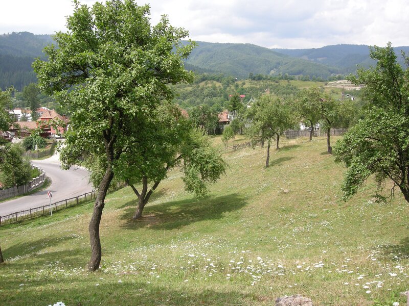 Rucar, teren intravilan 3214 mp cu deschidere 56 m in DN73