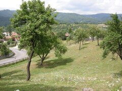 Rucar, teren intravilan 3214 mp cu deschidere 56 m in DN73