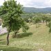 Rucar, teren intravilan 3214 mp cu deschidere 56 m in DN73